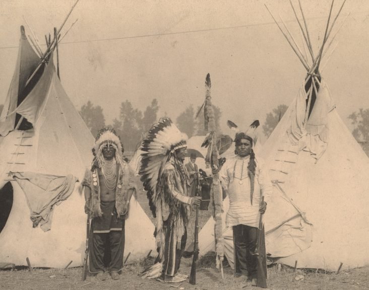Trail of Tears, Native American history, forced relocation, American history, tragic events, enduring legacy, Cherokee Nation, Indian Removal Act, Andrew Jackson, historical accounts, Native American tribes, U.S. government
