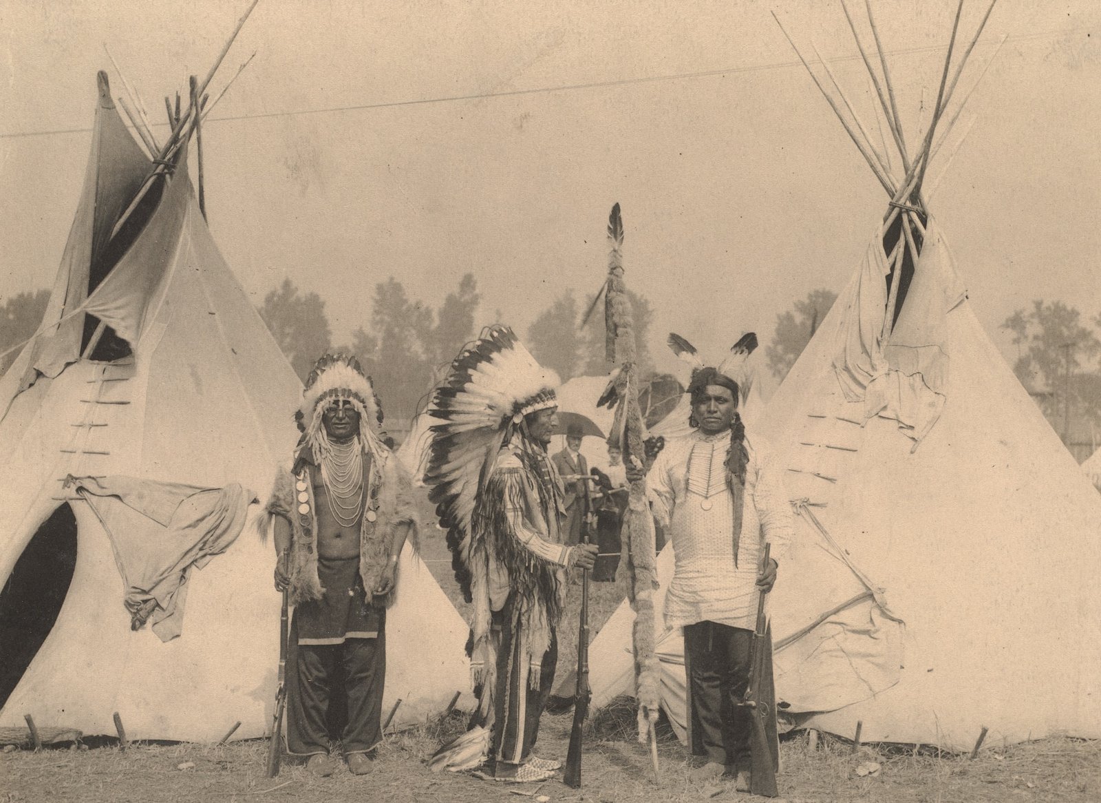 Trail of Tears, Native American history, forced relocation, American history, tragic events, enduring legacy, Cherokee Nation, Indian Removal Act, Andrew Jackson, historical accounts, Native American tribes, U.S. government