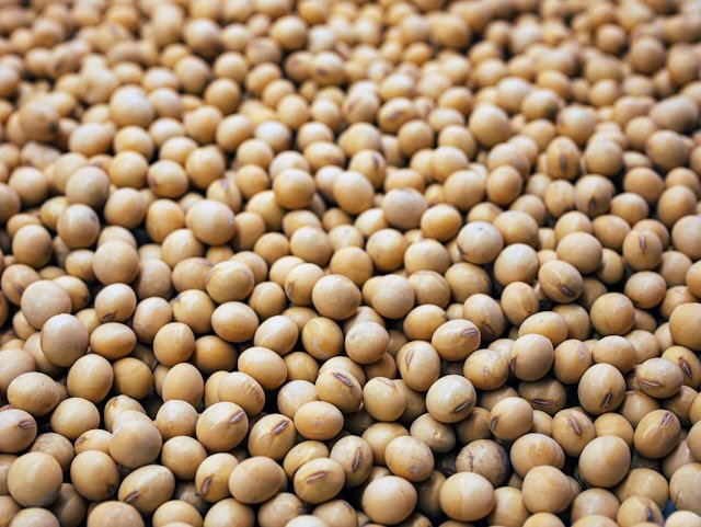 Soymamicoco Soymamicoco benefits Soymamicoco recipes Soymamicoco nutrition Soymamicoco health benefits Soy-based products Coconut milk benefits Plant-based superfoods Soymamicoco digestive health Soymamicoco heart health Soymamicoco antioxidants Soymamicoco culinary uses Sustainable soy products Soymamicoco in Asian cuisine Soymamicoco vegan recipes