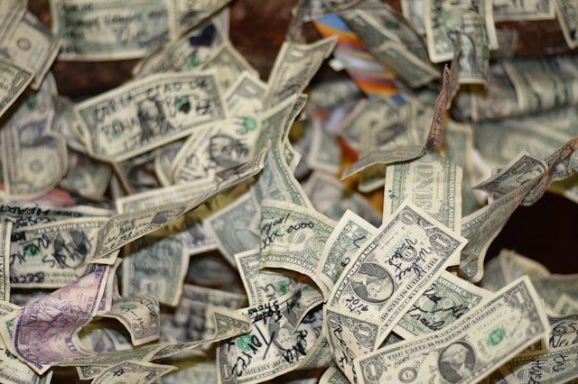 Pet Paint net worth Pet Paint Shark Tank net worth Pet Paint net worth 2021 Pet Paint net worth 2023 Pet Paint company net worth Pet Paint financial growth Pet Paint valuation 2023 Pet Paint revenue Pet Paint market success Pet Paint business insights Pet Paint financial journey Pet Paint worth after Shark Tank Pet Paint sales figures
